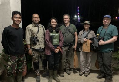 Mengintip Keindahan Malam di Hutan Kemuning: Petualangan Menemui Kukang Jawa